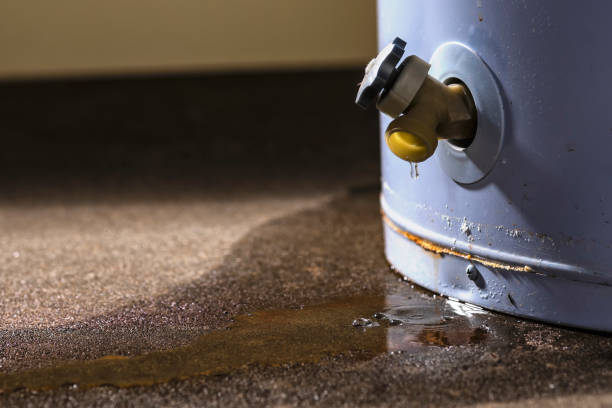 Best Flooded house restoration  in Clementon, NJ