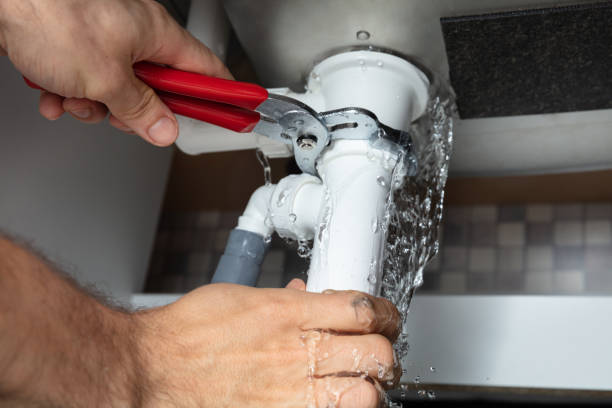 Best Professional water damage repair  in Clementon, NJ