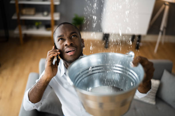 Best Water damage restoration near me  in Clementon, NJ