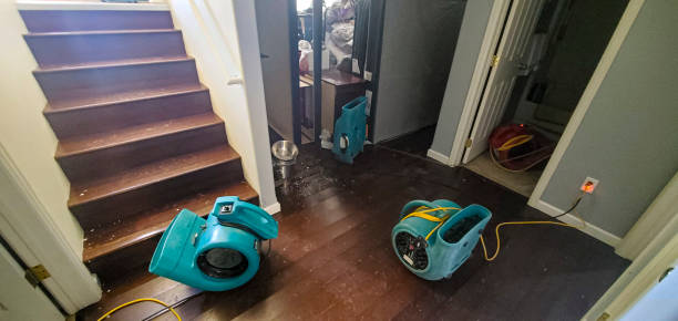 Best Commercial water damage restoration  in Clementon, NJ