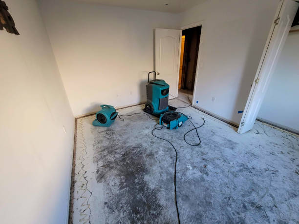 Carpet water damage restoration in Clementon, NJ