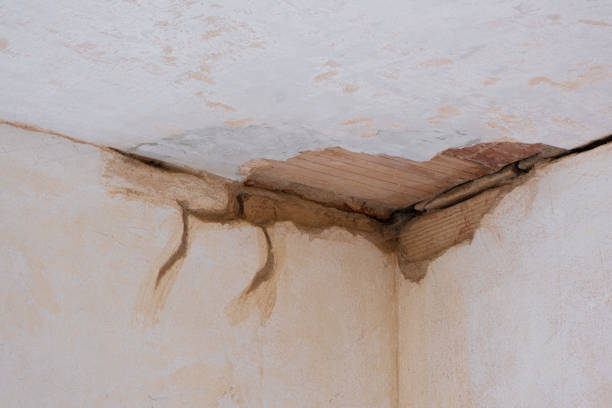 Best Water damage restoration near me  in Clementon, NJ
