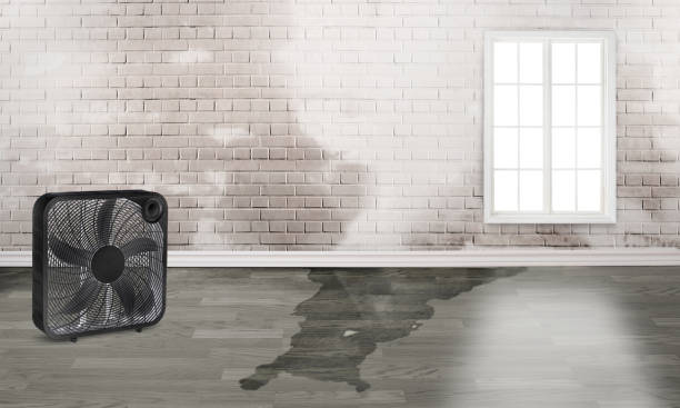 Best Sewage cleanup and water damage restoration  in Clementon, NJ