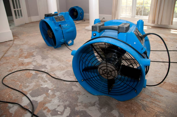 Best Flood restoration services  in Clementon, NJ