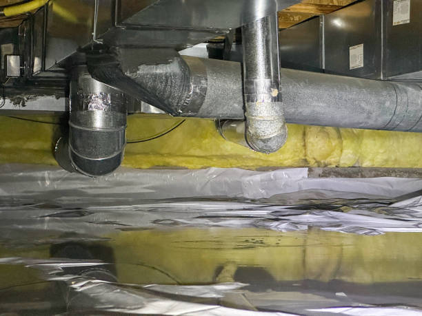Best Water damage contractors near me  in Clementon, NJ