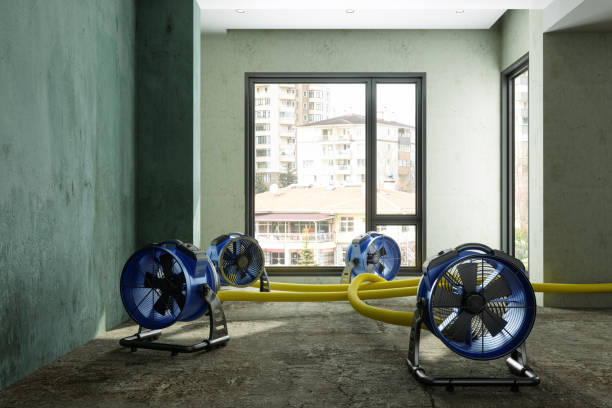 Reliable Clementon, NJ Water damage restoration Solutions