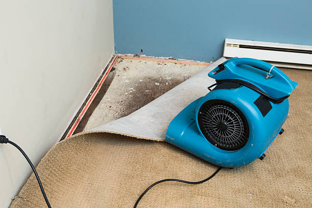 Best Basement water damage restoration  in Clementon, NJ